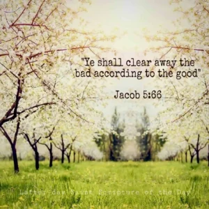 Jacob Archives Latter day Saint Scripture Of The Day