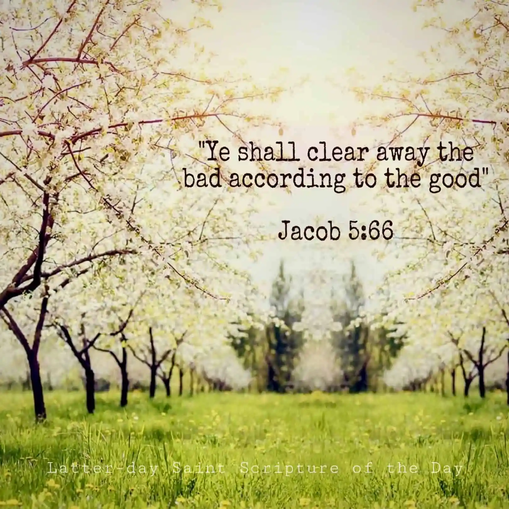 Jacob Archives Latter day Saint Scripture Of The Day
