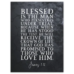 James 1 12 Perservere Stood The Test Receive The Crown Of Life Christian Bible Verse Quote Scripture Typography Large Wall Art Poster Print Thick Paper 18X24 Inch Walmart