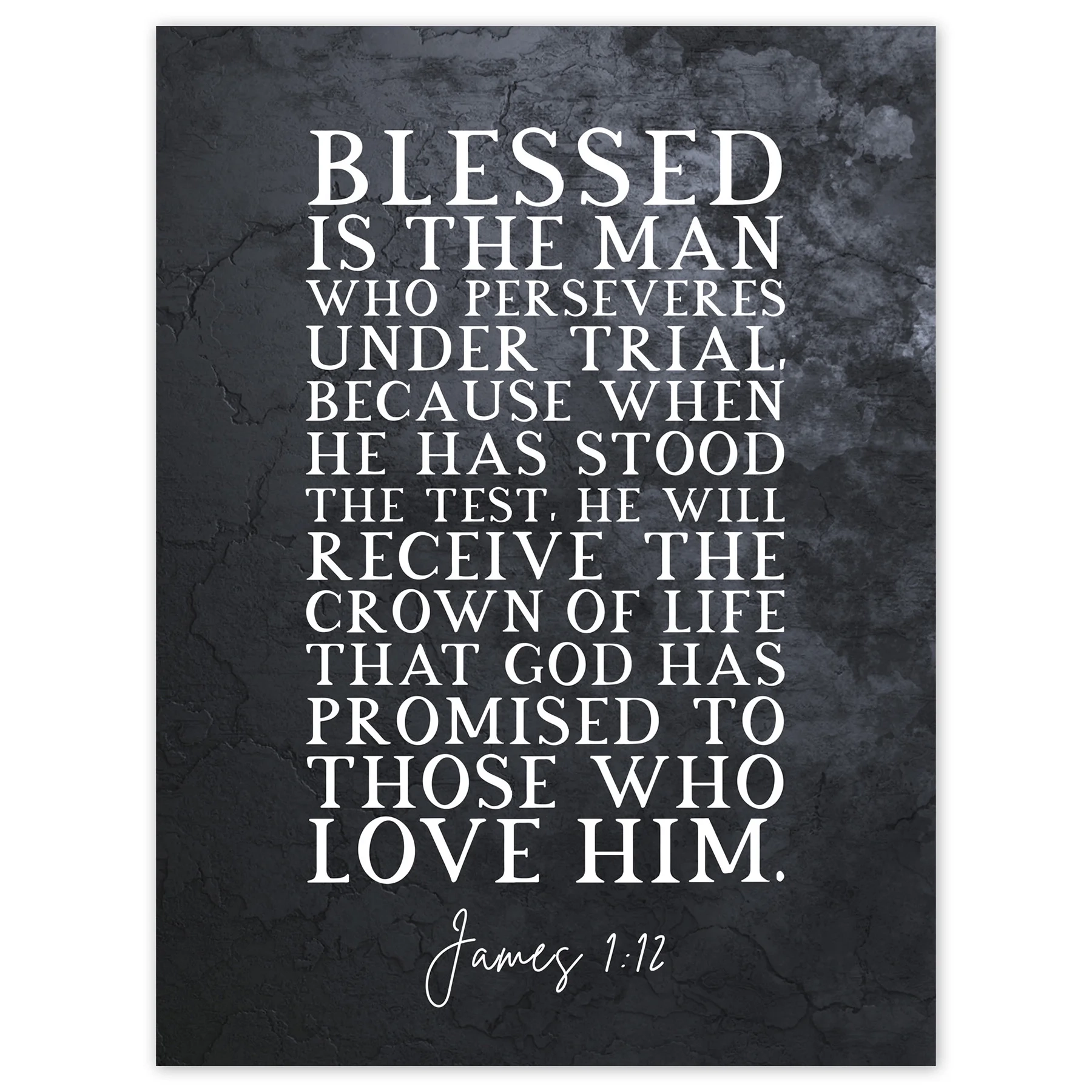 James 1 12 Perservere Stood The Test Receive The Crown Of Life Christian Bible Verse Quote Scripture Typography Large Wall Art Poster Print Thick Paper 18X24 Inch Walmart