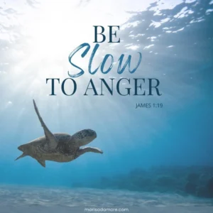 James 1 19 Be Slow To Anger