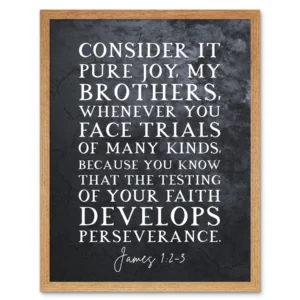 James 1 2 3 The Testing Of Your Faith Develops Perserverance Christian Bible Verse Quote Scripture Typography Art Print Framed Poster Wall Decor 12x16 Inch Walmart