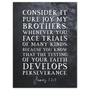 James 1 2 3 The Testing Of Your Faith Develops Perserverance Christian Bible Verse Quote Scripture Typography Unframed Wall Art Print Poster Home Decor Premium Walmart