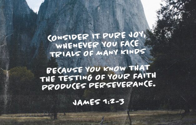 James 1 2 4 NIV Consider It Pure Joy My Brothers A YouVersion
