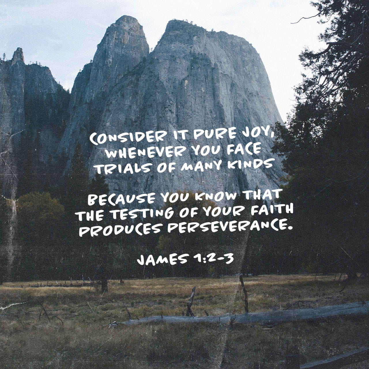 James 1 2 4 NIV Consider It Pure Joy My Brothers A YouVersion