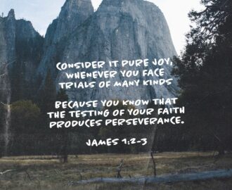 James 1 2 4 NLT Dear Brothers And Sisters When Tro YouVersion