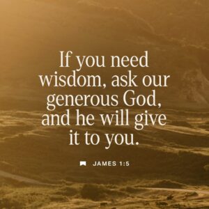 James 1 5 NIV If Any Of You Lacks Wisdom You Sho YouVersion