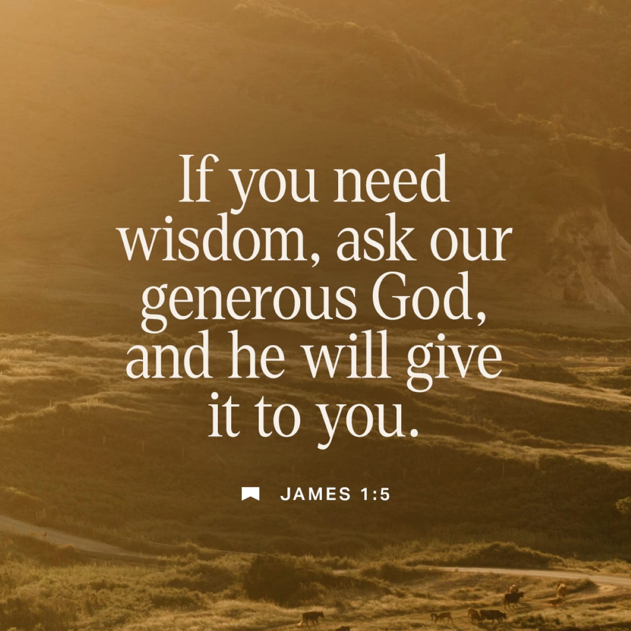 James 1 5 NIV If Any Of You Lacks Wisdom You Sho YouVersion