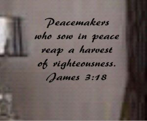 James 3 18 BIBLE VERSE Quote Peacemakers Who Sow In Peace Wall Art Vinyl Decal EBay