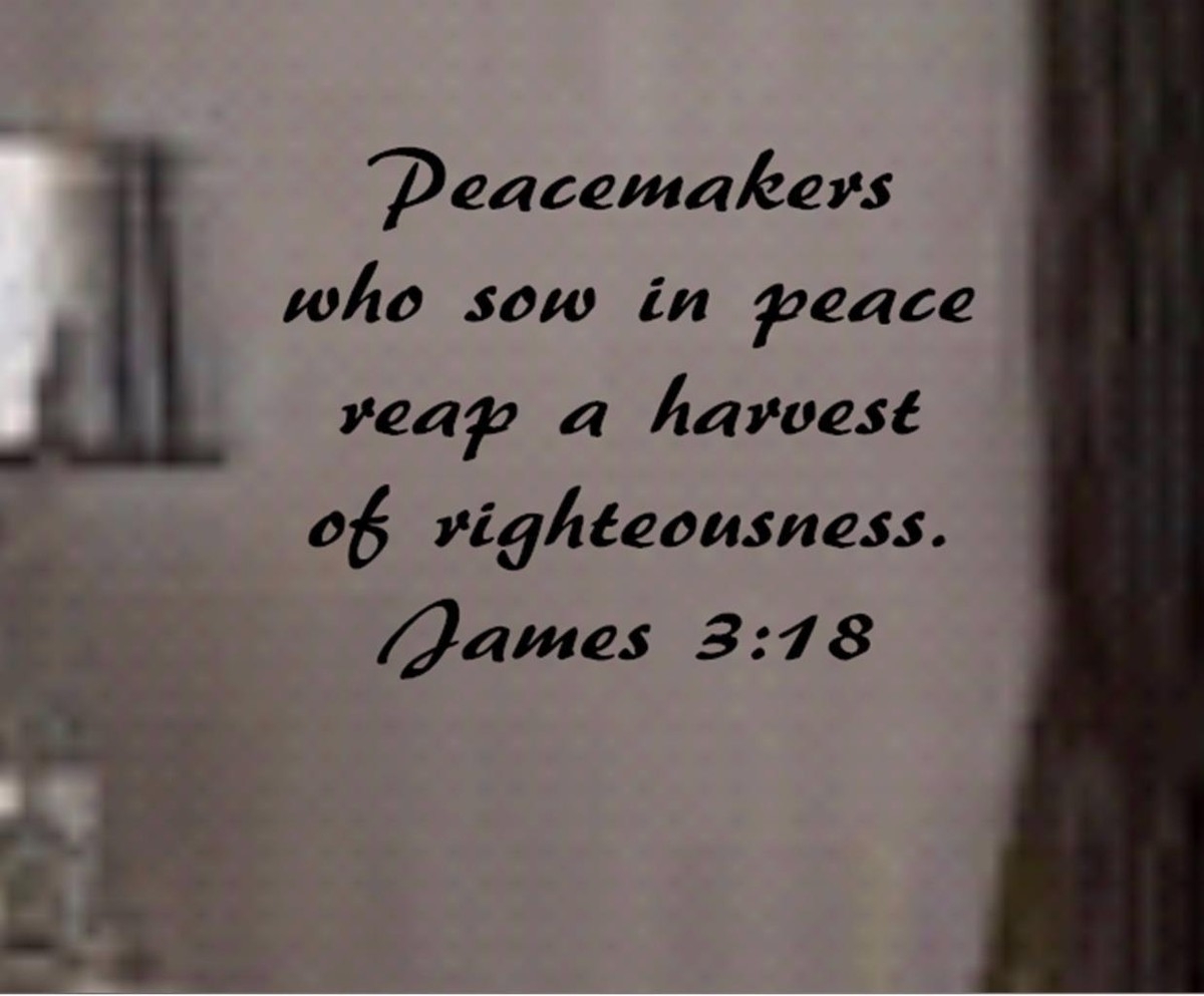 James 3 18 BIBLE VERSE Quote Peacemakers Who Sow In Peace Wall Art Vinyl Decal EBay