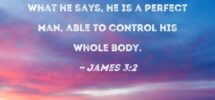 James 3 2 We All Stumble In Many Ways If Anyone Is Never At Fault In What He Says He Is A Perfect Man Able To Control His Whole Body