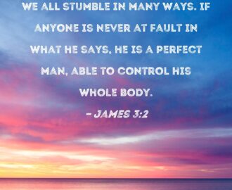 James 3 2 We All Stumble In Many Ways If Anyone Is Never At Fault In What He Says He Is A Perfect Man Able To Control His Whole Body