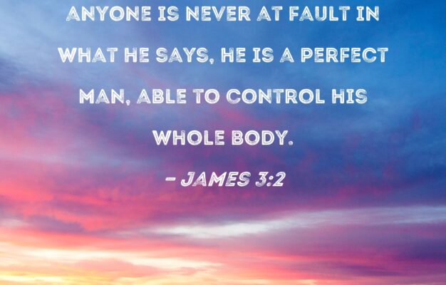 James 3 2 We All Stumble In Many Ways If Anyone Is Never At Fault In What He Says He Is A Perfect Man Able To Control His Whole Body
