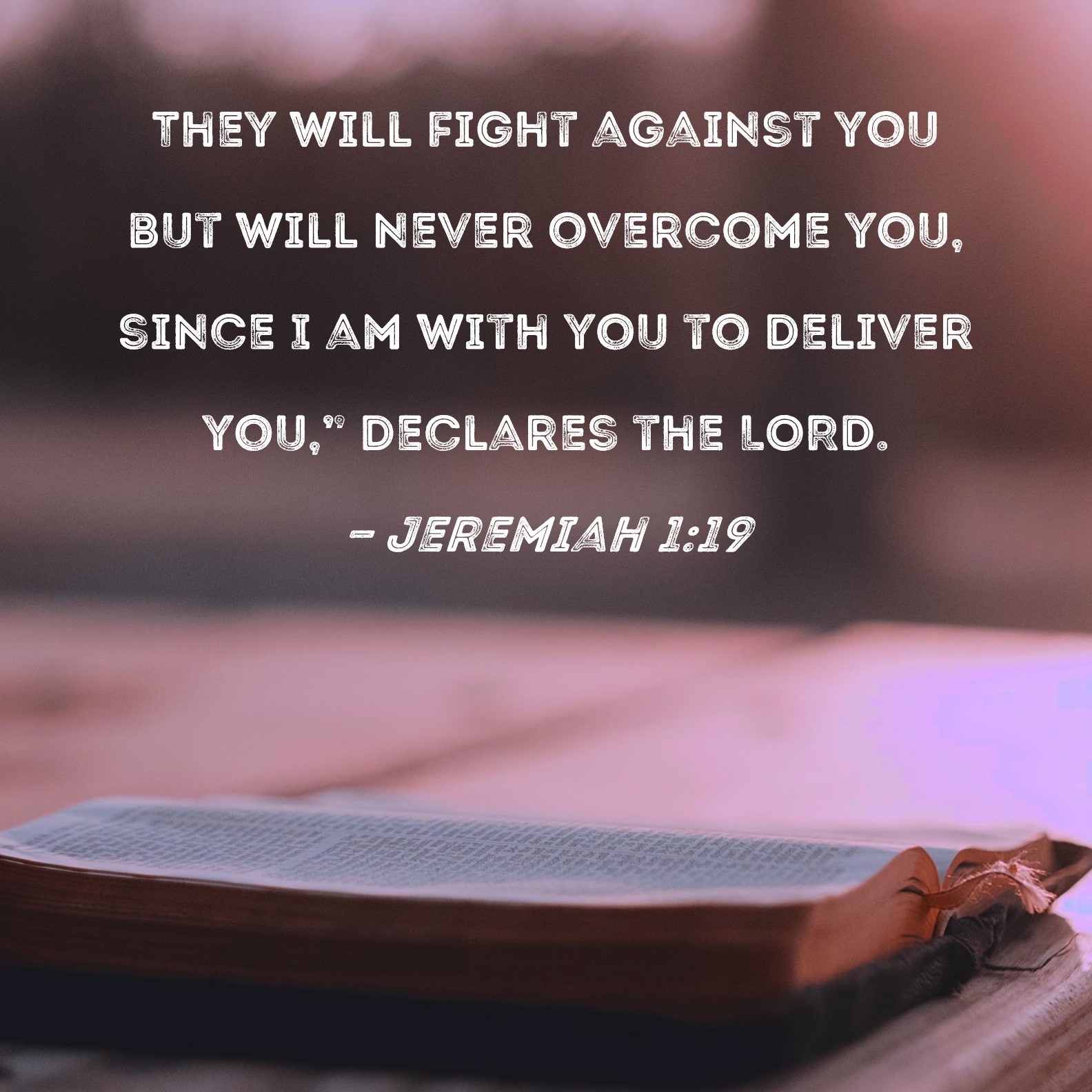 Bible Quotes On Fighting