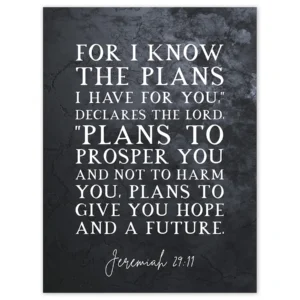 Jeremiah 29 11 I Know The Plans I Have For You Plans To Give You Hope Christian Bible Verse Quote Scripture Typography Unframed Wall Art Print Poster Home Decor Premium Walmart