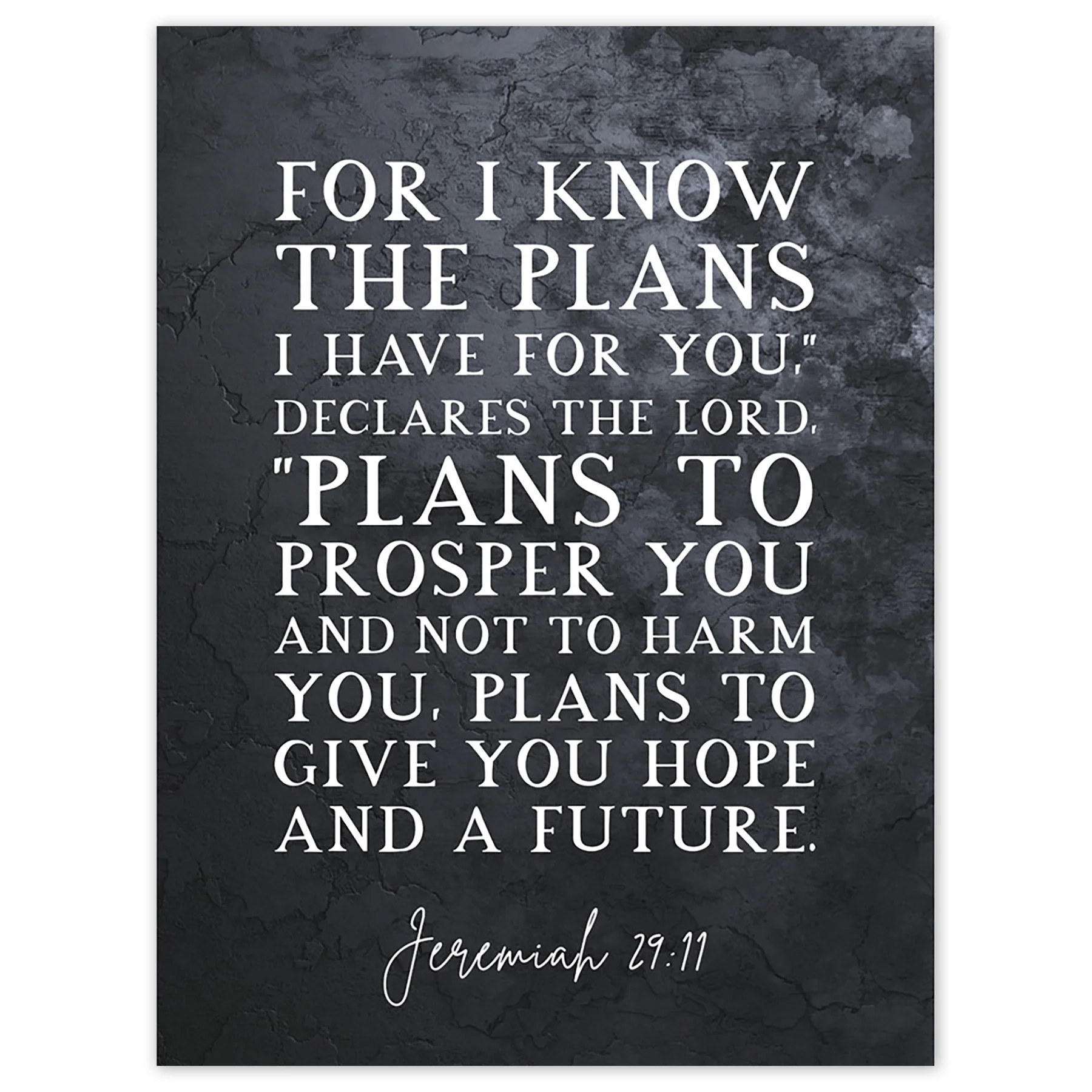 Jeremiah 29 11 I Know The Plans I Have For You Plans To Give You Hope Christian Bible Verse Quote Scripture Typography Unframed Wall Art Print Poster Home Decor Premium Walmart