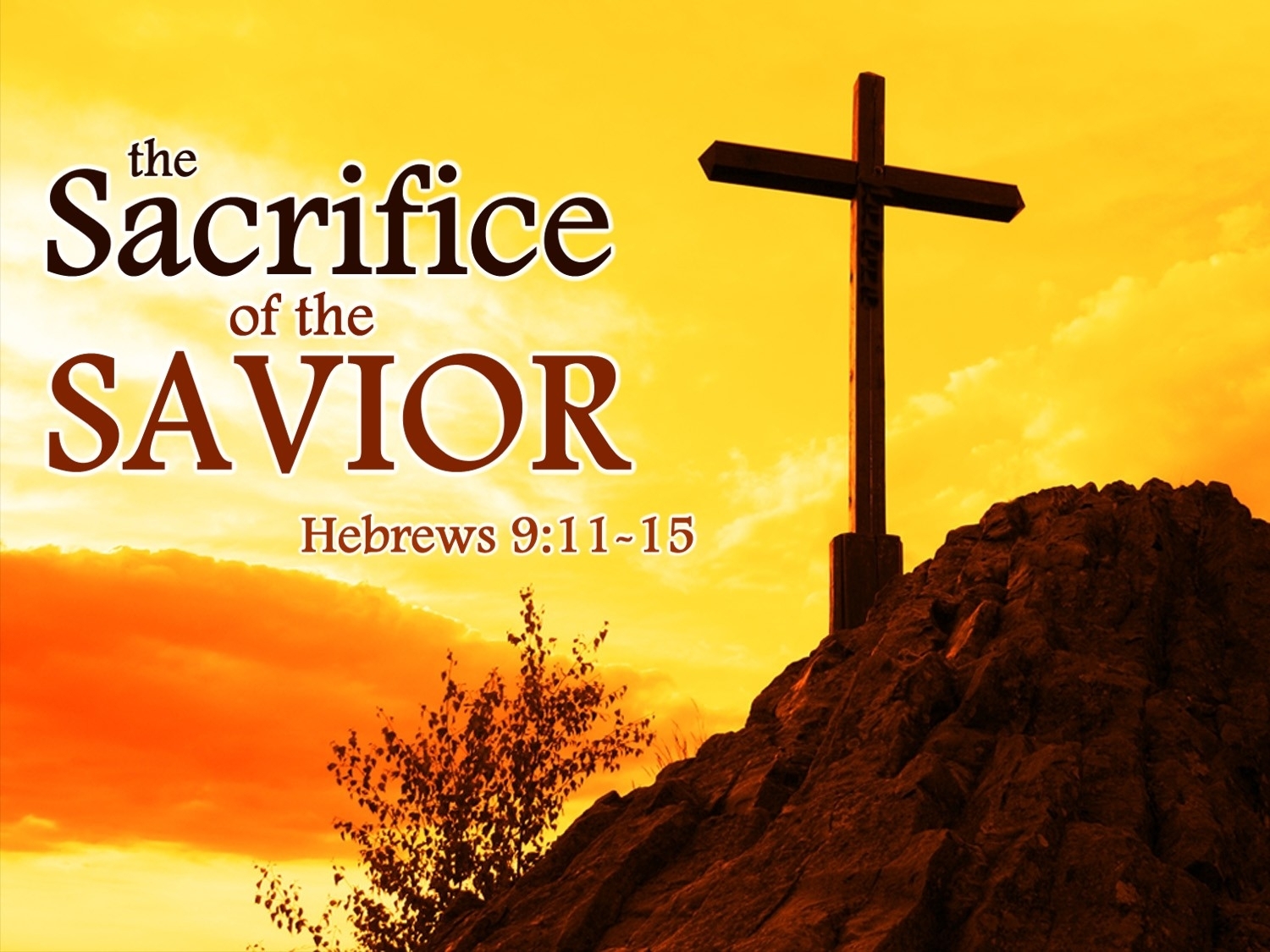 Jesus Bible Quotes On Sacrifice QuotesGram