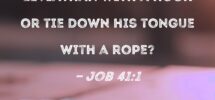 Job 41 1 Can You Pull In Leviathan With A Hook Or Tie Down His Tongue With A Rope