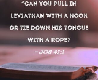 Job 41 1 Can You Pull In Leviathan With A Hook Or Tie Down His Tongue With A Rope