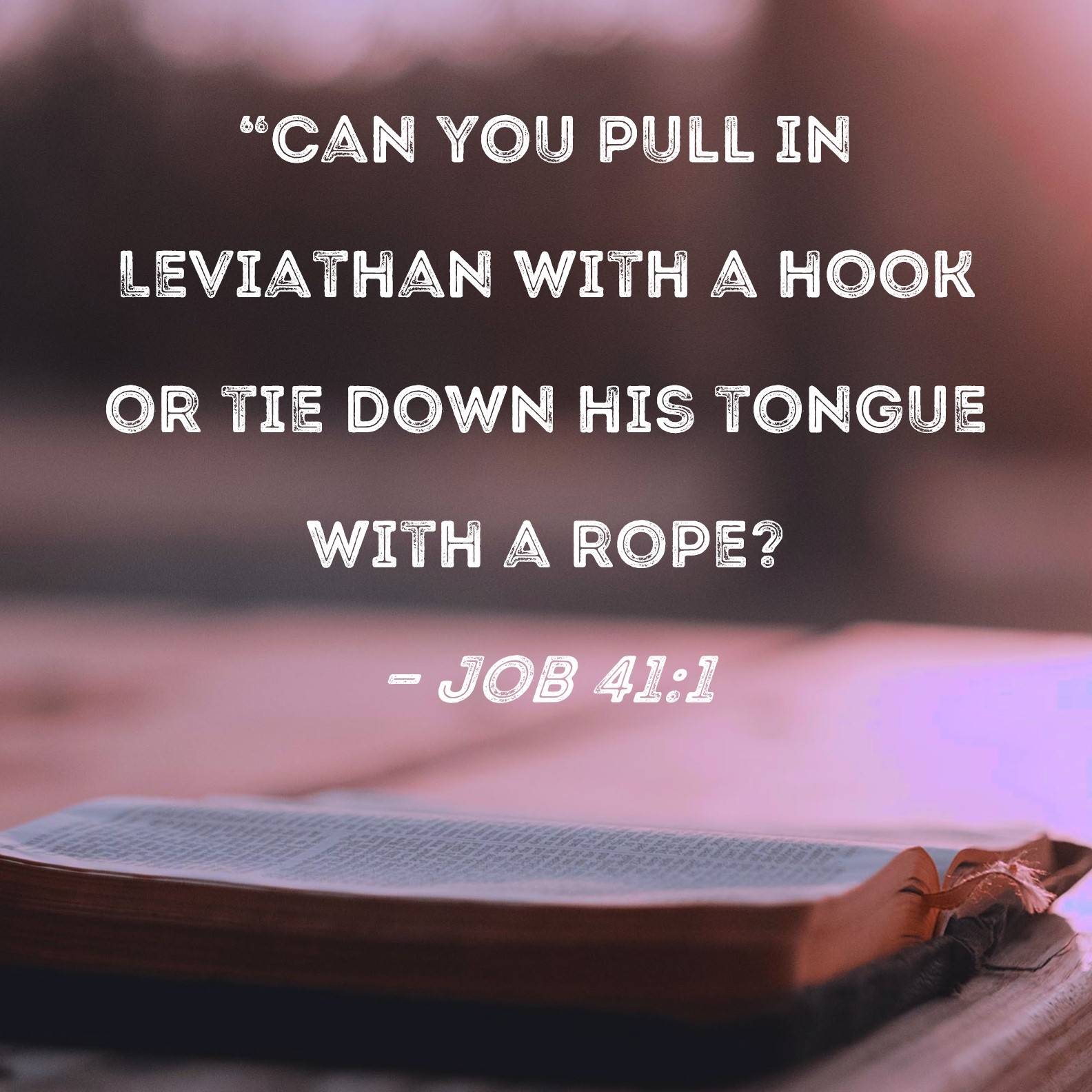Job 41 1 Can You Pull In Leviathan With A Hook Or Tie Down His Tongue With A Rope 