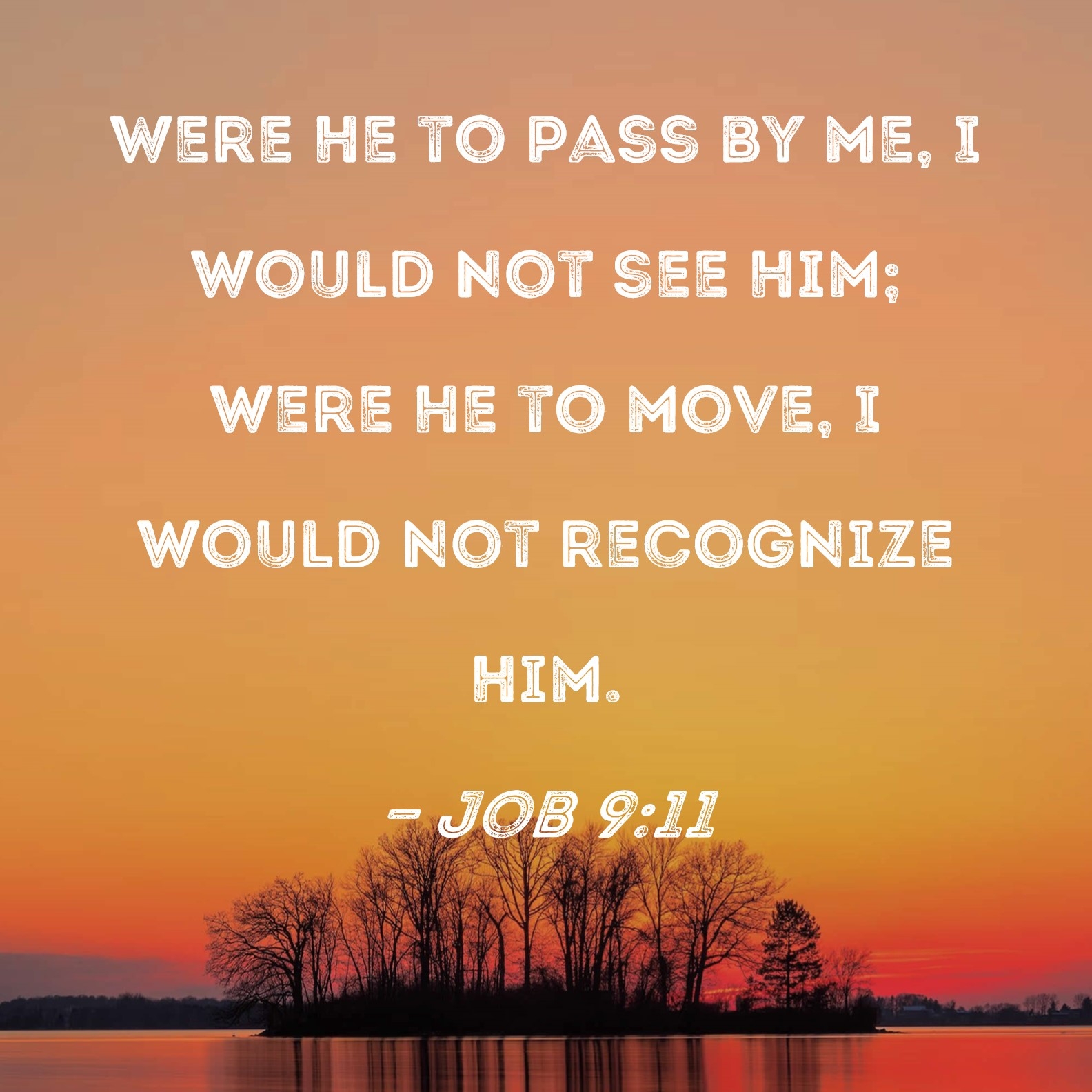 Job 9 11 Were He To Pass By Me I Would Not See Him Were He To Move I Would Not Recognize Him 
