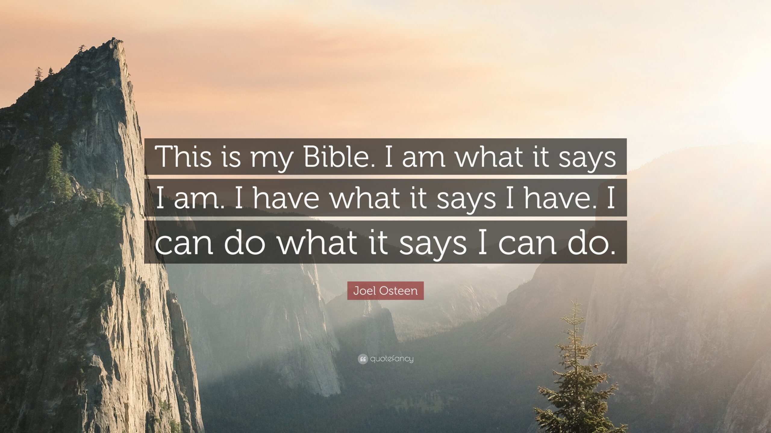 Joel Osteen Quote This Is My Bible I Am What It Says I Am I Have