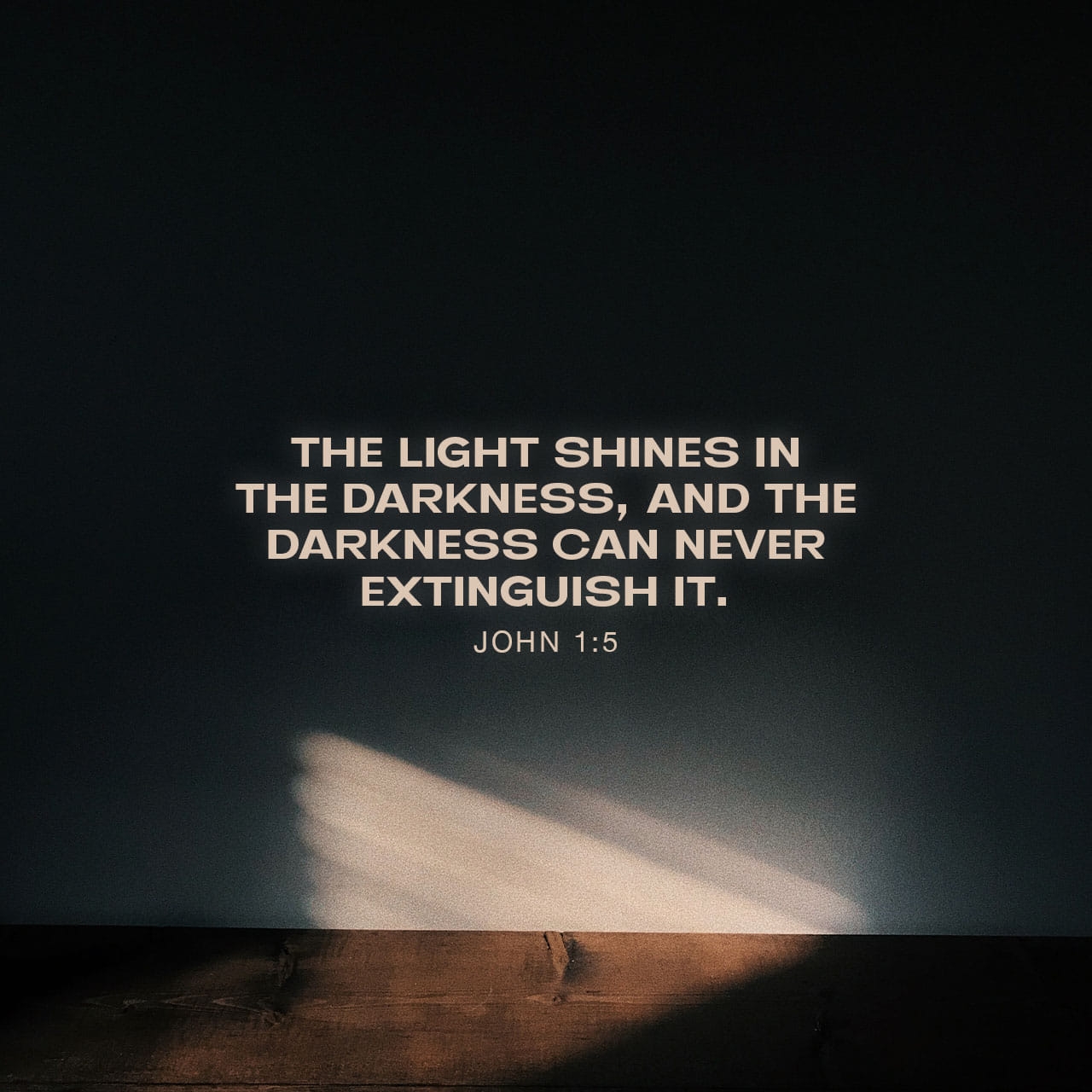 John 1 5 Everything Was Created Through Him Nothing not One Thing Came Into Being Without Him What Came Into Existence Was Life And The Life Was Light To Live By The Life Light Blazed