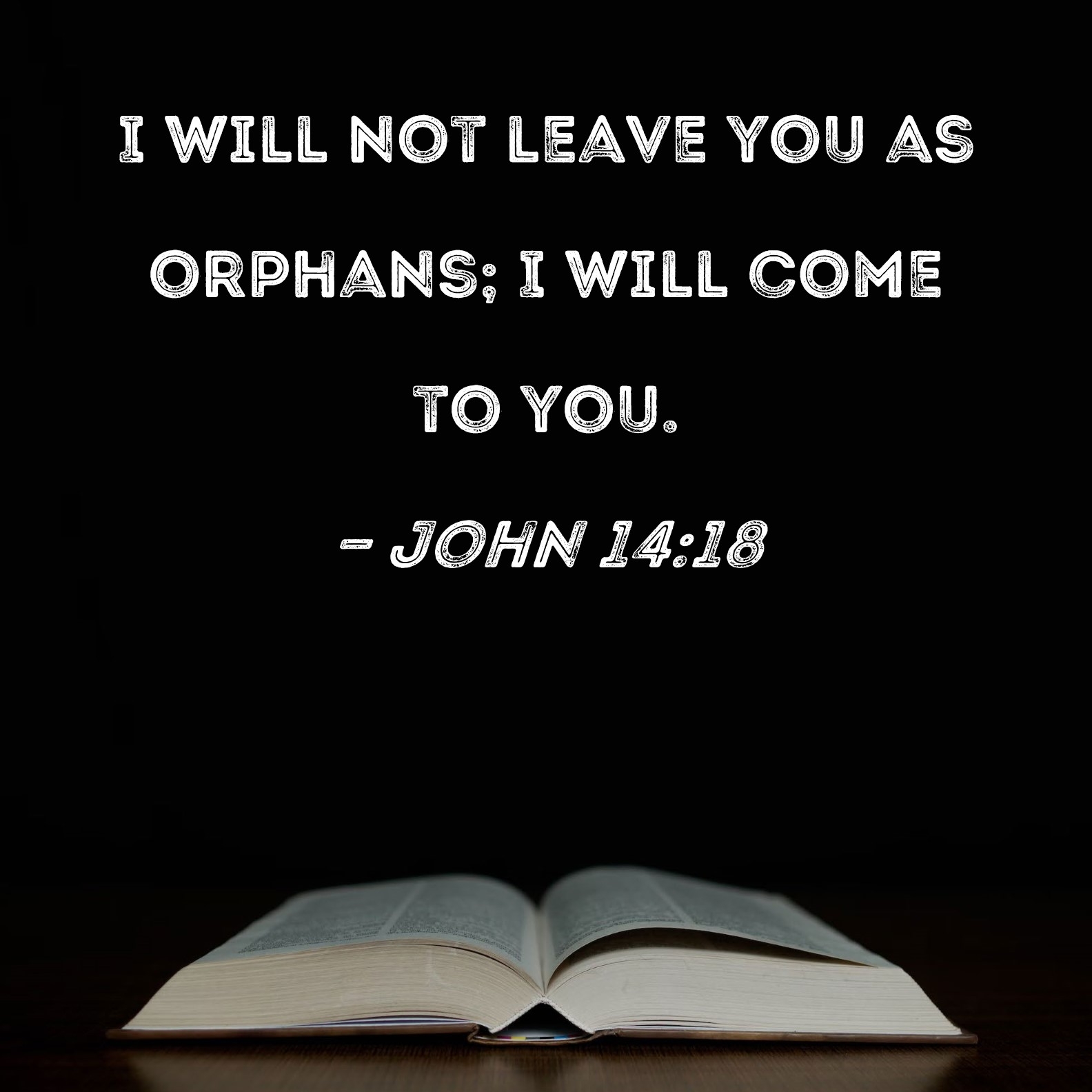 John 14 18 I Will Not Leave You As Orphans I Will Come To You 