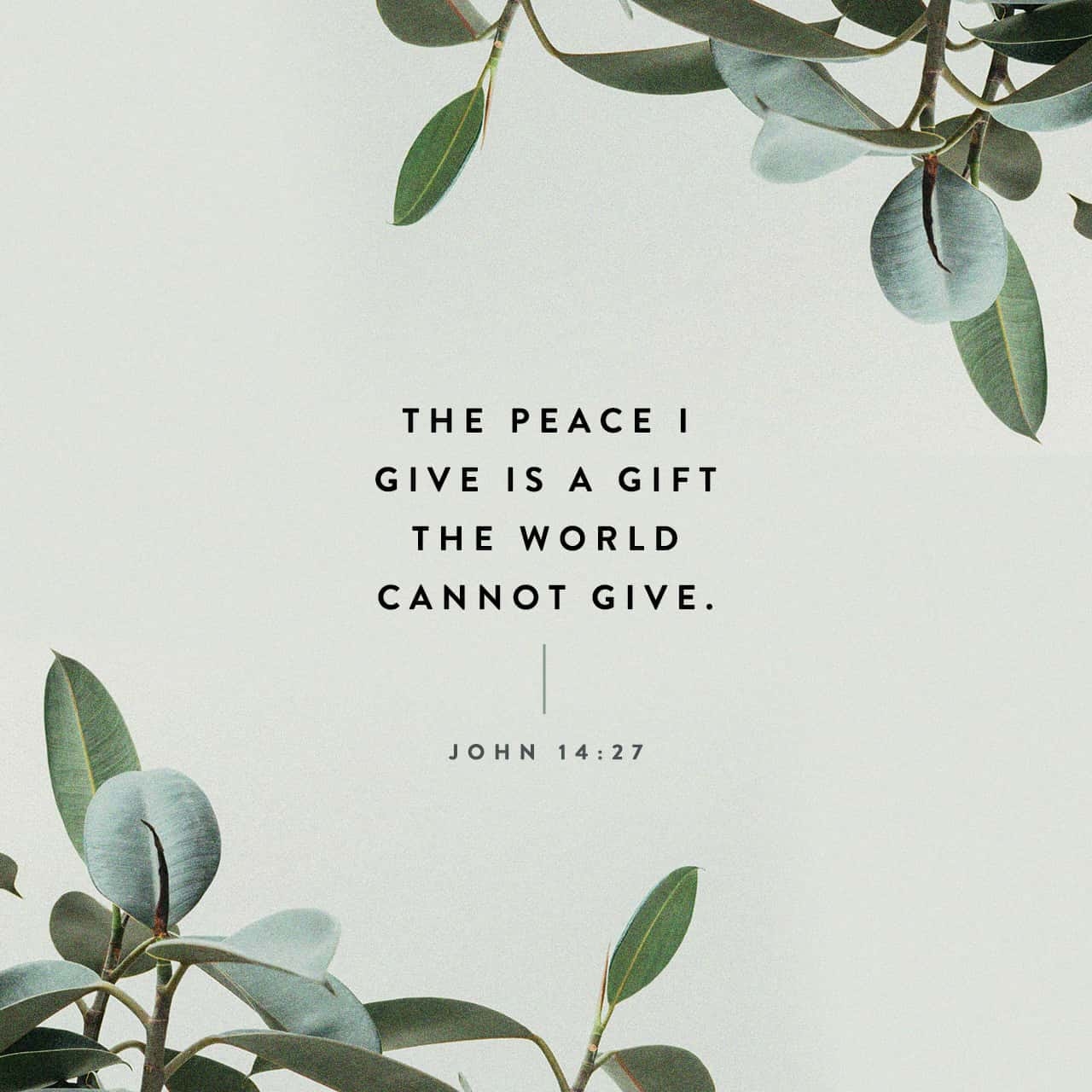 Bible Quotes On Peace Of Mind