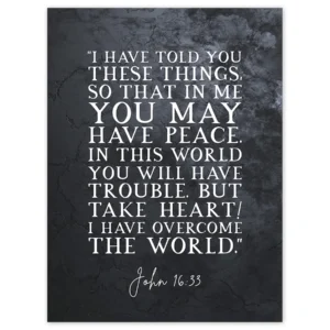 John 16 33 Peace Take Heart I Have Overcome The World Christian Bible Verse Quote Scripture Typography Unframed Wall Art Print Poster Home Decor Premium Walmart