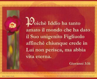 John 3 16 Italian International Bible House