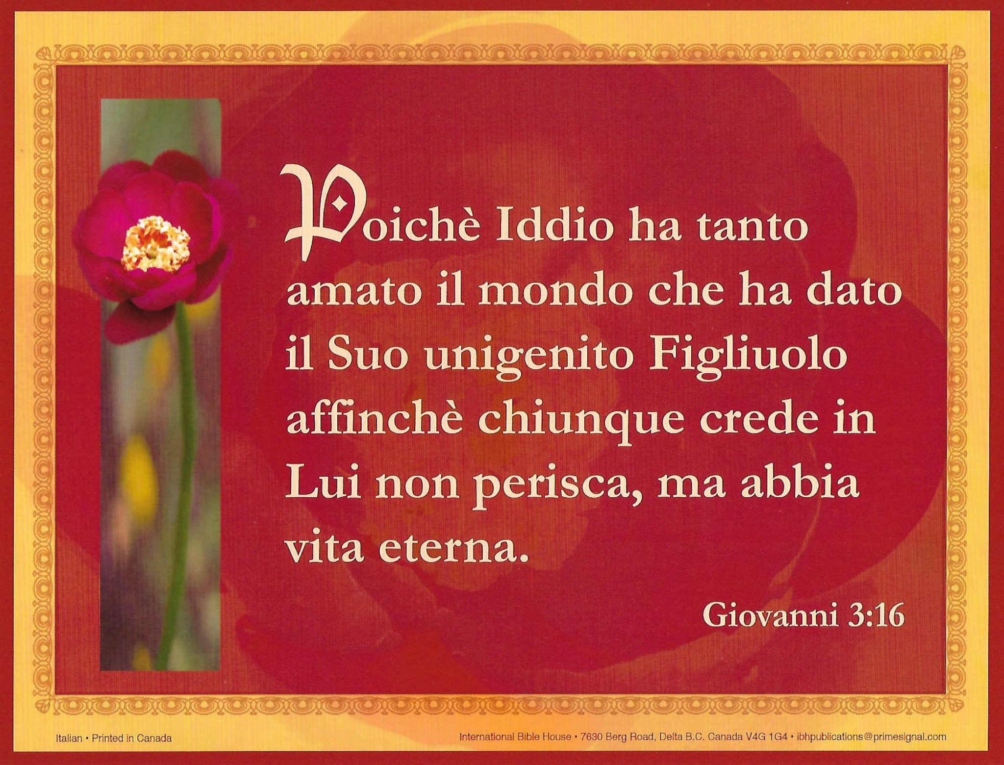John 3 16 Italian International Bible House