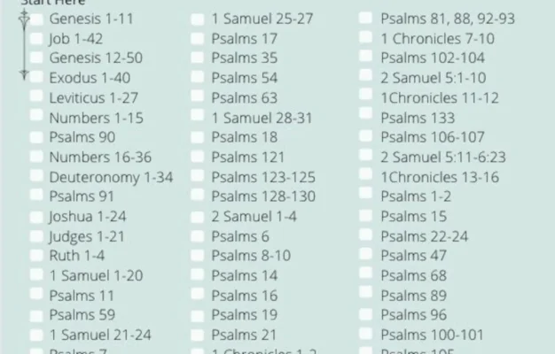 JW Bible Reading Schedule Chronological JW Planner JW Pioneer Gifts Best Life Ever Gifts Jw Family Worship Game Night Jw Kids Jw Printable Etsy