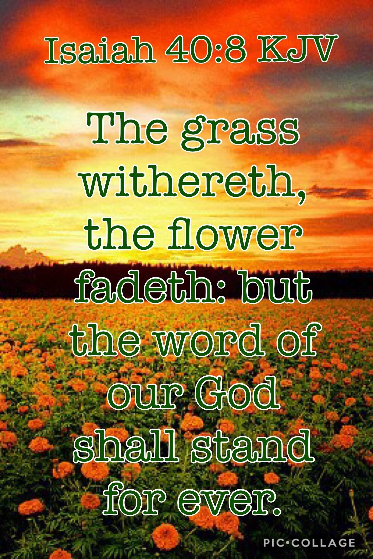 King James Bible Verses