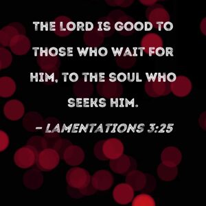 Lamentations 3 25 The LORD Is Good To Those Who Wait For Him To The Soul Who Seeks Him