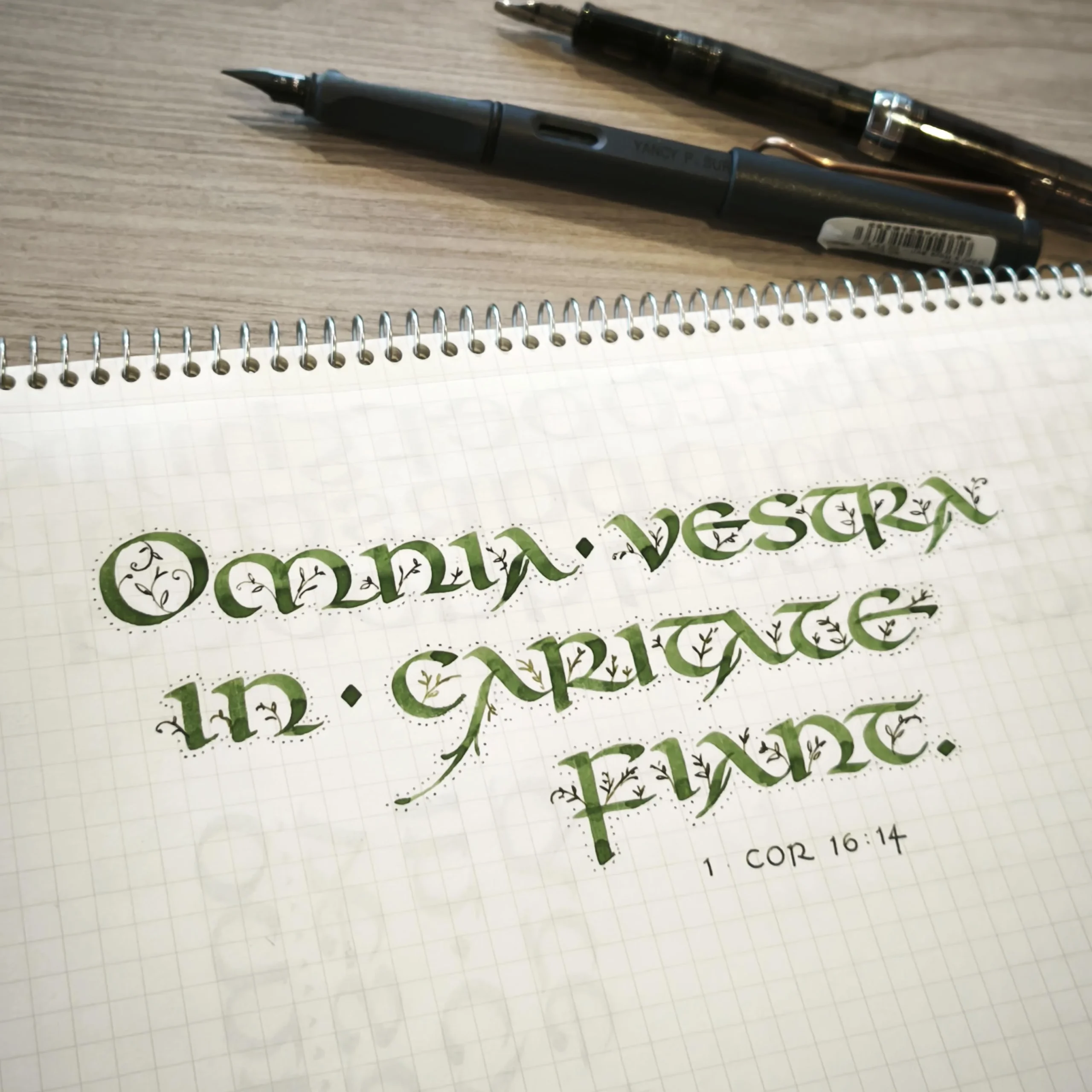 Latin Bible Verse Calligraphy R fountainpens