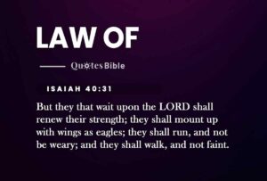Law Of Attraction Verses From The Bible Manifesting Miracles Exploring Law Of Attraction Through Biblical Verses