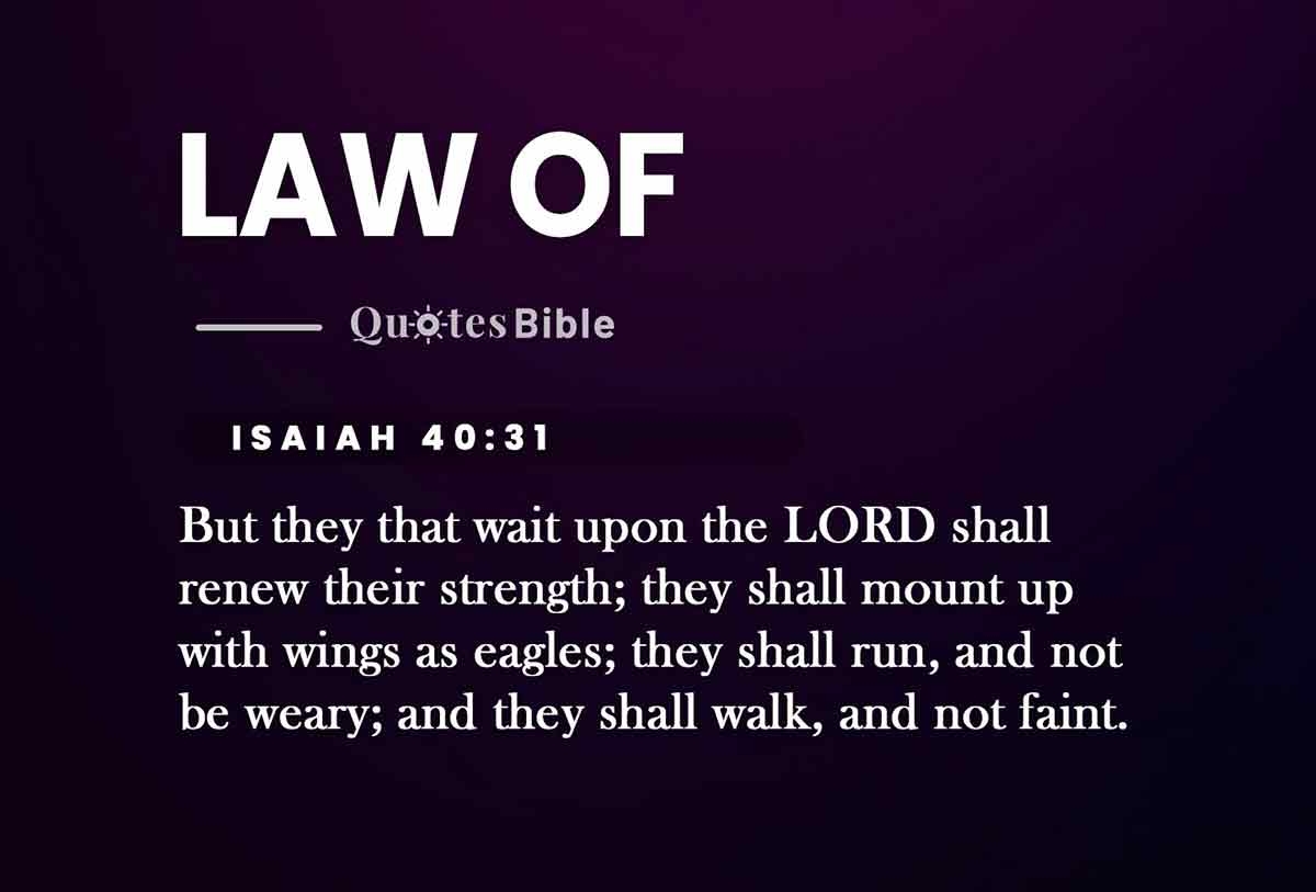 Law Of Attraction Verses From The Bible Manifesting Miracles Exploring Law Of Attraction Through Biblical Verses