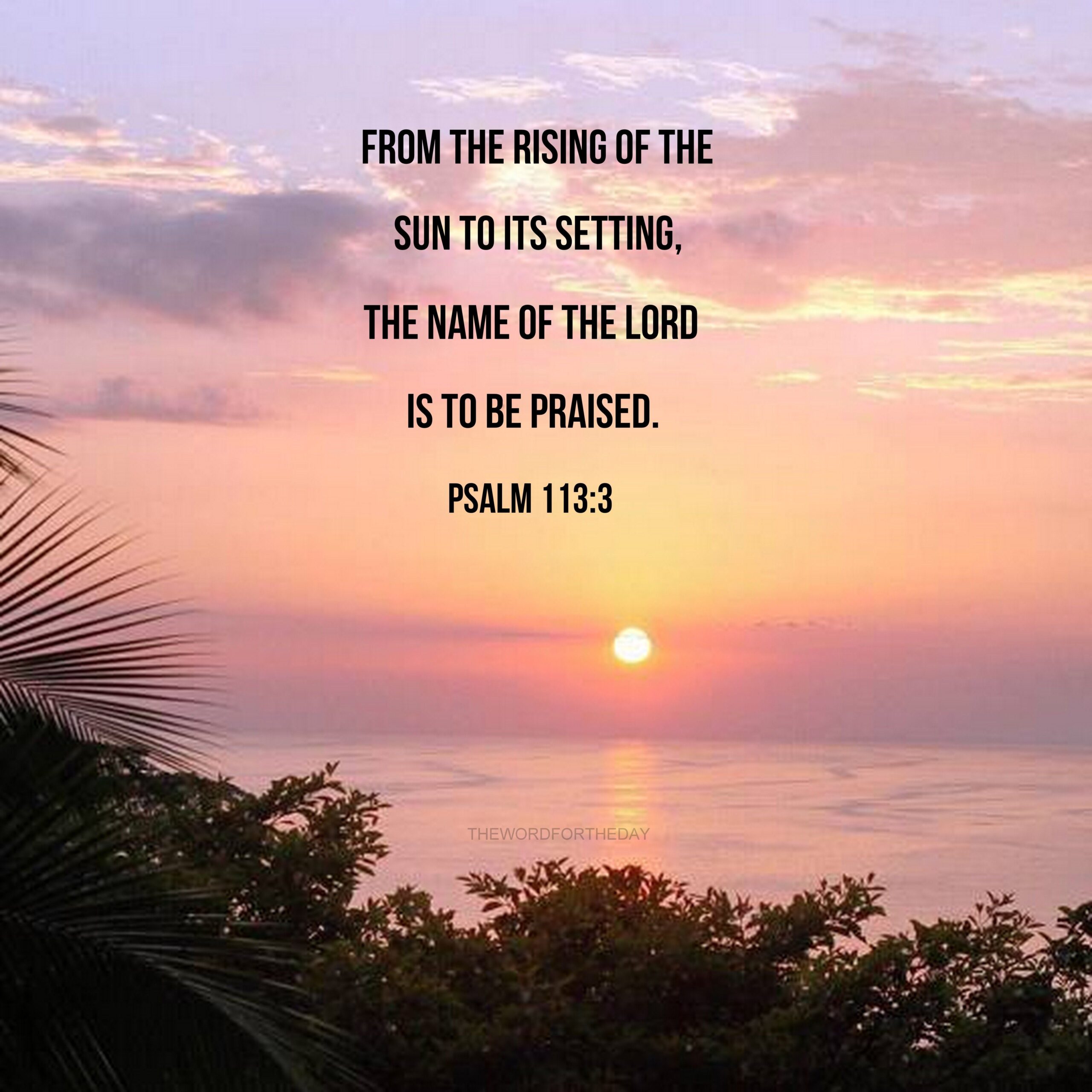 Let The Morning Bring Me Word Of Your Unfailing Love Psalm 143 8