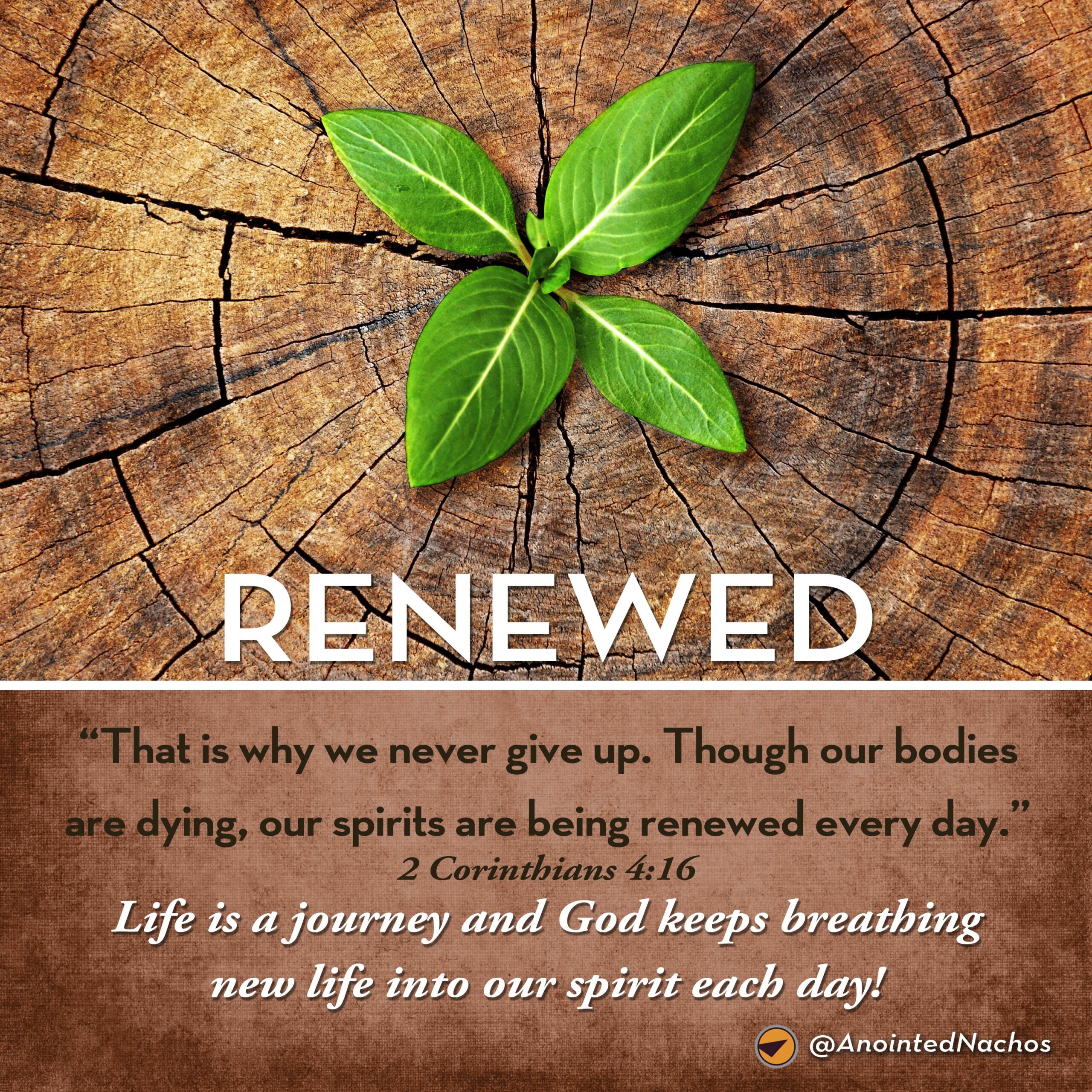 Life Is A Journey And God Keeps Breathing New Life Into Our Spirit Each Day 