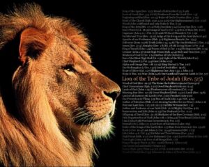 Lion Bible Quotes QuotesGram
