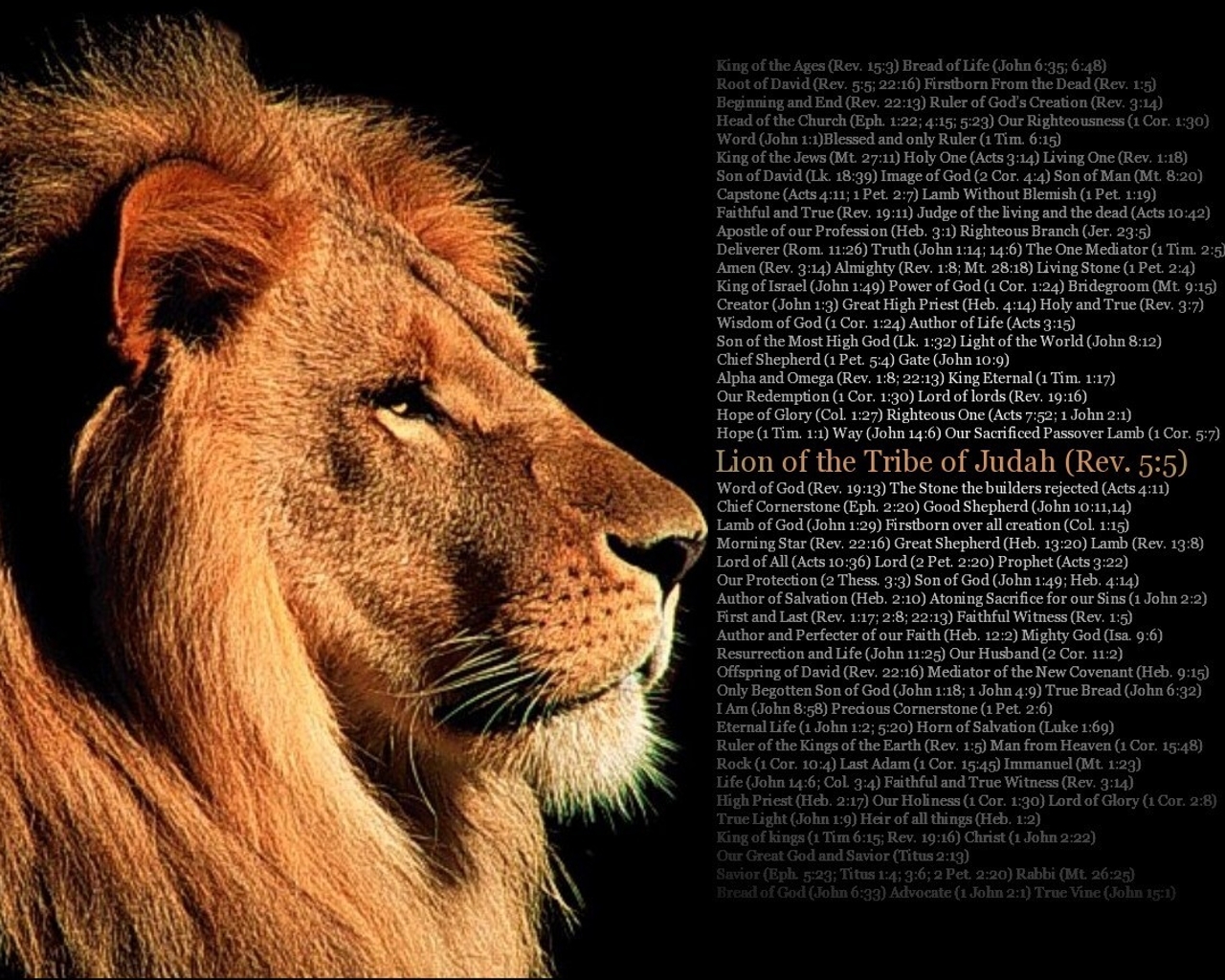 Lion Bible Quotes QuotesGram