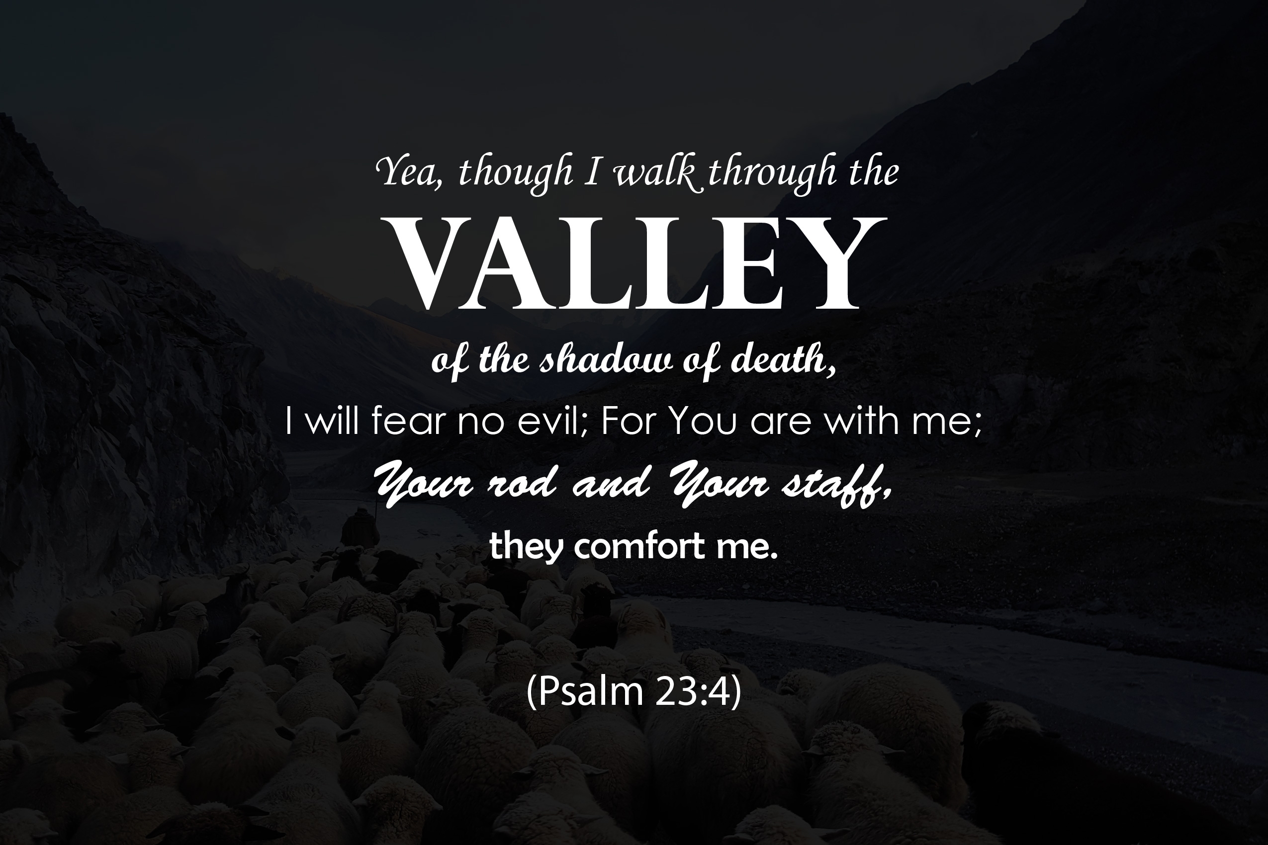 LIVING IN GOD S PEACE