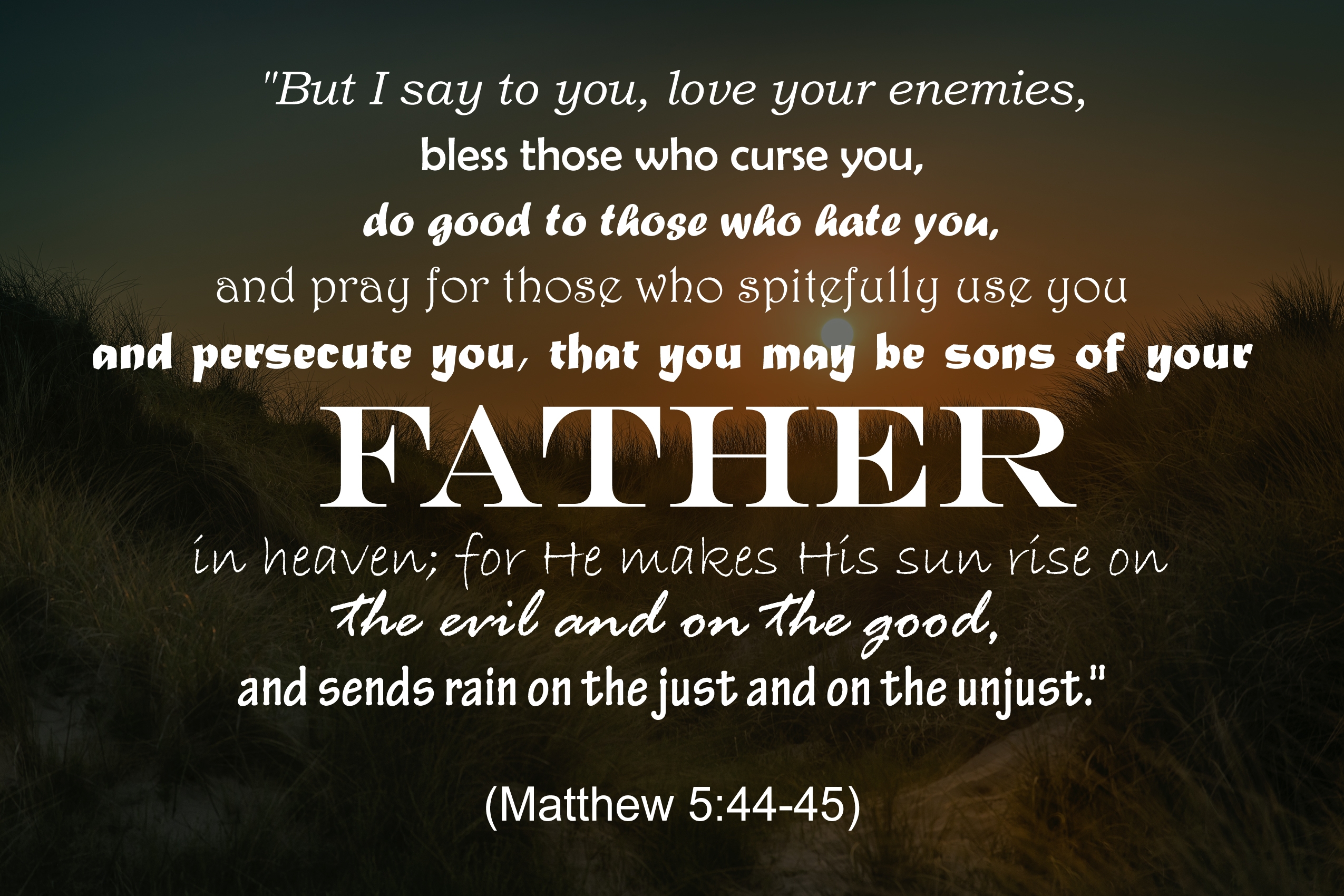 Bible Quotes About Enemies