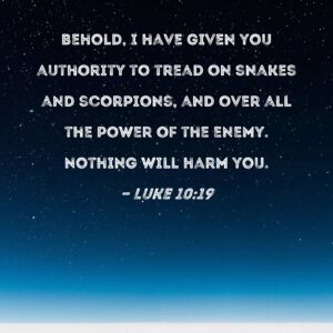 Luke 10 19 Behold I Have Given You Authority To Tread On Snakes And Scorpions And Over All The Power Of The Enemy Nothing Will Harm You