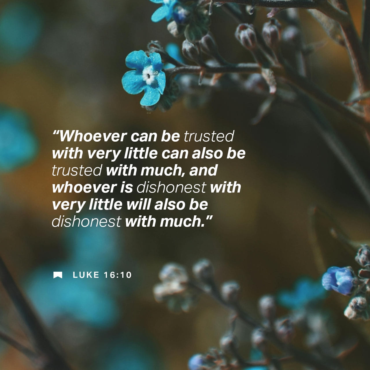 Luke 16 10 Jesus Went On To Make These Comments If You re Honest In Small Things You ll Be Honest In Big Things If You re A Crook In Small Things You ll Be A Crook