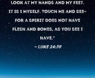 Luke 24 39 Look At My Hands And My Feet It Is I Myself Touch Me And See for A Spirit Does Not Have Flesh And Bones As You See I Have
