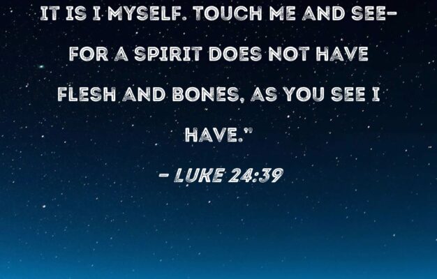 Luke 24 39 Look At My Hands And My Feet It Is I Myself Touch Me And See for A Spirit Does Not Have Flesh And Bones As You See I Have