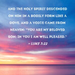 Luke 3 22 And The Holy Spirit Descended On Him In A Bodily Form Like A Dove And A Voice Came From Heaven You Are My Beloved Son In You I Am Well
