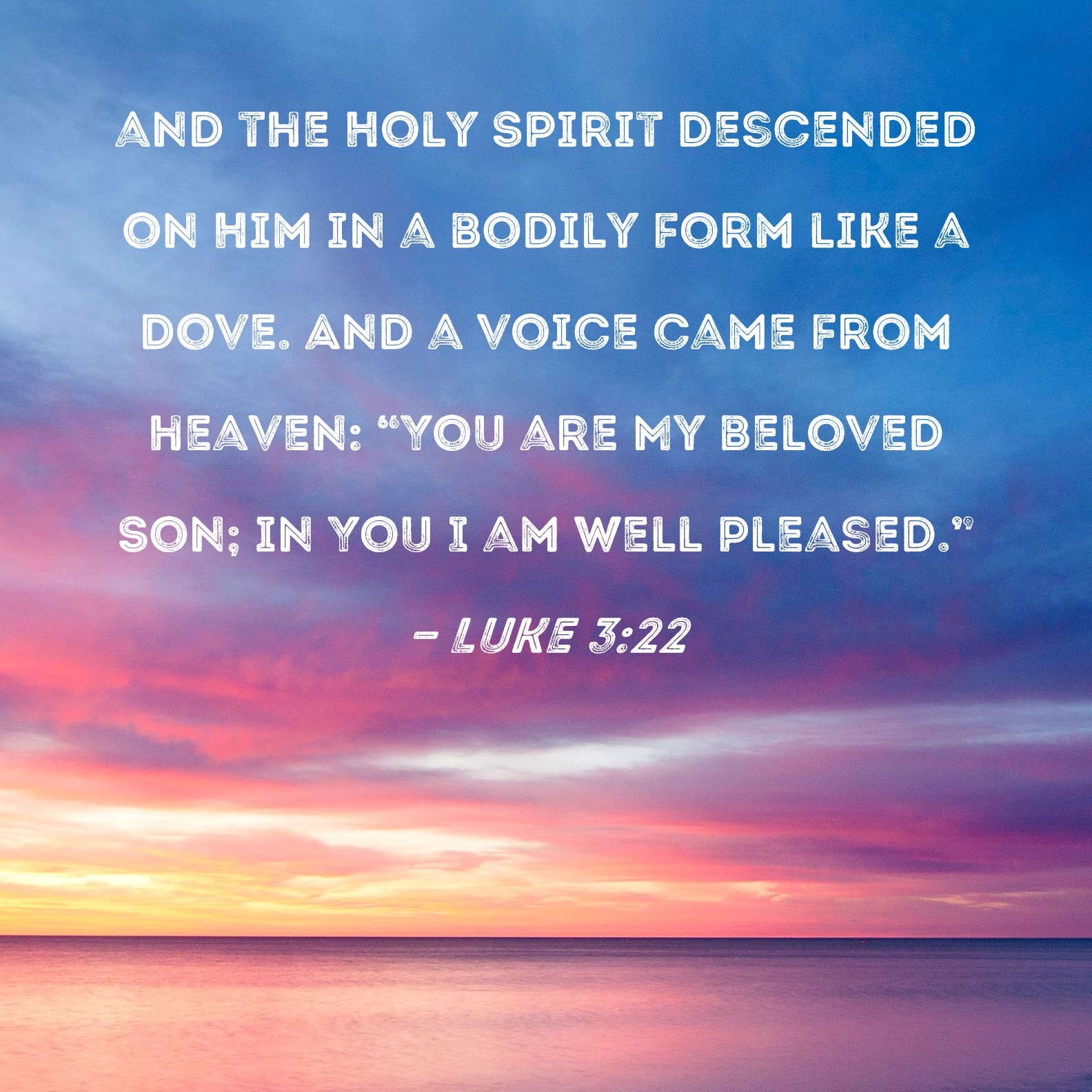 Luke 3 22 And The Holy Spirit Descended On Him In A Bodily Form Like A Dove And A Voice Came From Heaven You Are My Beloved Son In You I Am Well